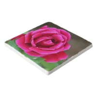 Vibrant Fuchsia Pink Rose Blossom Makro Trivet