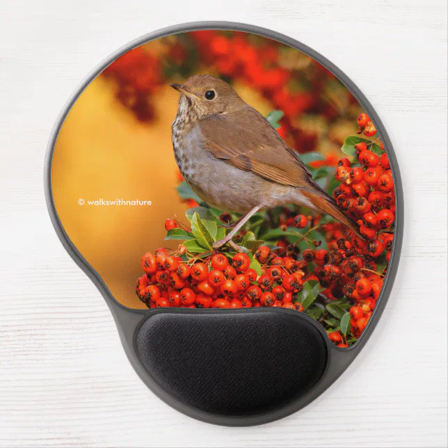 Hermit Thrush Songbird on Scarlet Firethorn Gel Mouse Pad