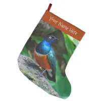 Stunning Colorful African Superb Starling Songbird Large Christmas Stocking