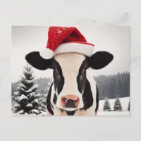 Adorable Dairy Cow in a Santa Hat Postcard