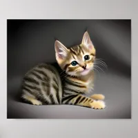 Cute fluffy tabby cat baby  poster