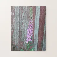 Pretty Pink Foxglove and Old Barn Jigsaw Puzzle