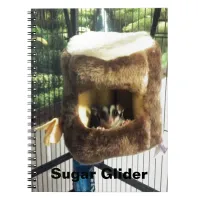 Sugar Glider in Furry Tree Truck Hanging Bed Notebook