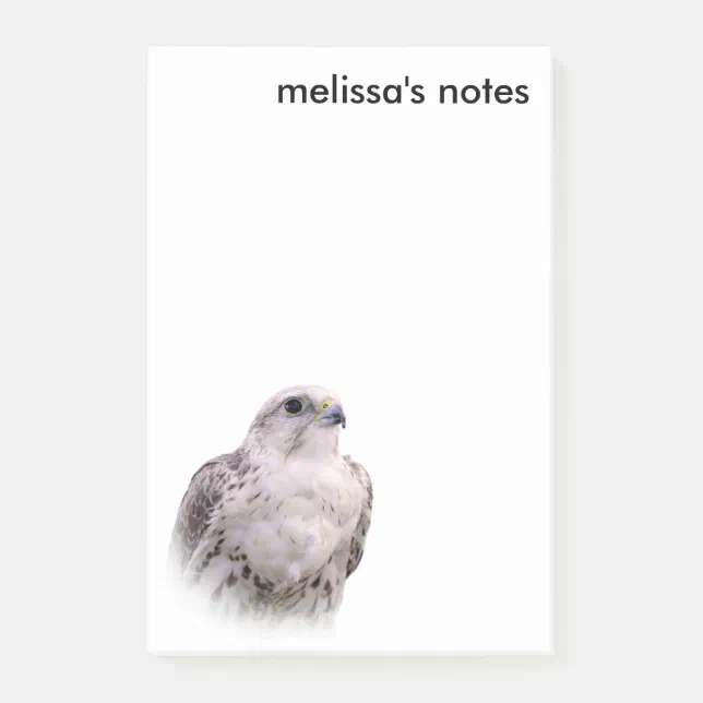 Vignetted Portrait of an Inquisitive Saker Falcon Post-it Notes
