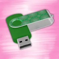 Pretty pink mandala on green | flash drive