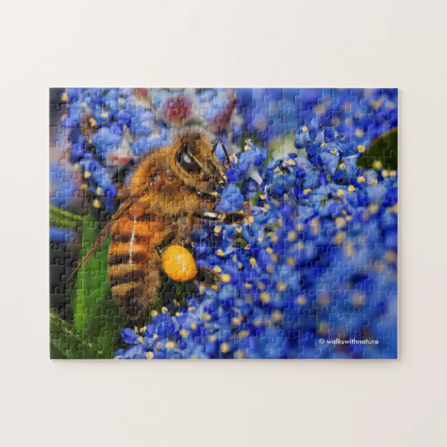 Honeybee: Busy California Lilac Pollinator Jigsaw Puzzle