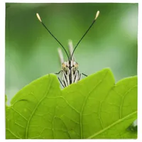 Funny Butterfly Peeks Over Leaf Cloth Napkin