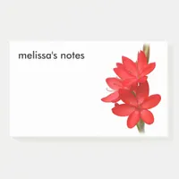 Elegant River Lily / Hesperantha Coccinea Post-it Notes