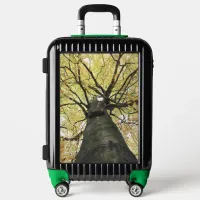 Treetop from Below - Tree of Life Luggage