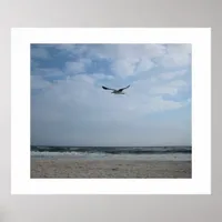 Beach Bird Seagull Photography Fine Art Poster