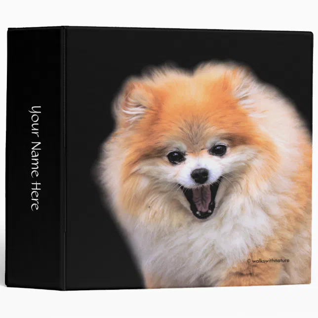 Cute Laughing Pomeranian Dog 3 Ring Binder