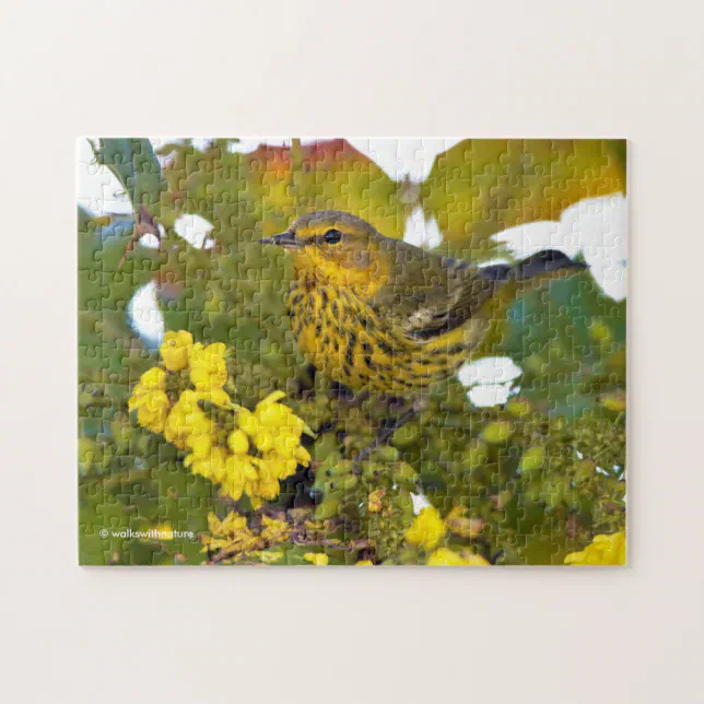 Cape May Warbler Songbird with Flowering Mahonia Jigsaw Puzzle