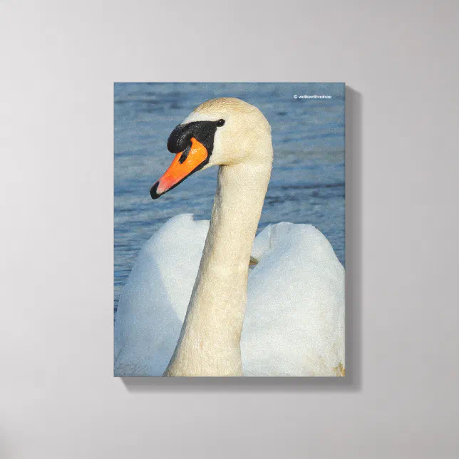 Elegant Mute Swan Waterbird on the Lake Canvas Print