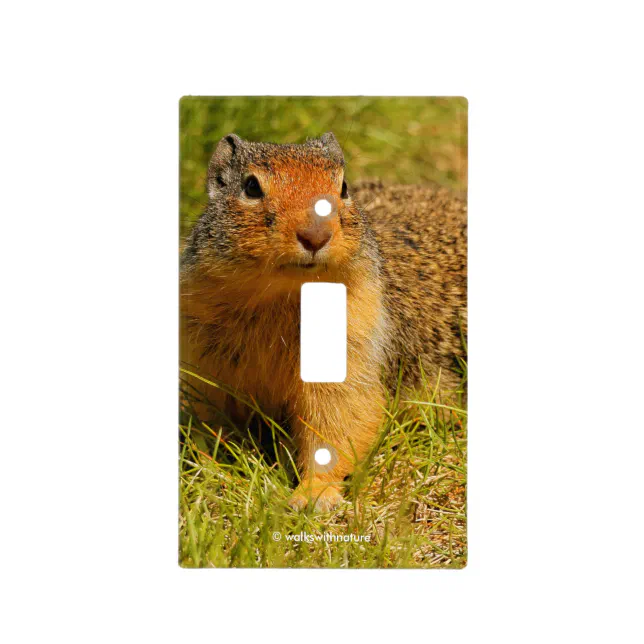 A Twitchy-Nosed Columbian Ground Squirrel Light Switch Cover