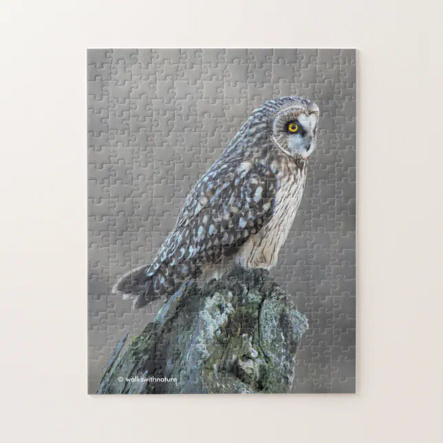 Short-Eared Owl in the Marsh Jigsaw Puzzle