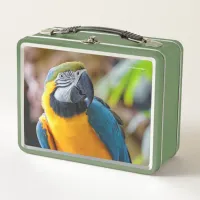 Beautiful Blue and Gold Macaw Parrot Bird Metal Lunch Box