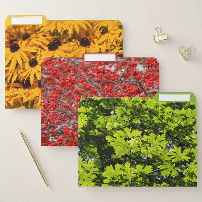 Colors and Seasons of Nature File Folder