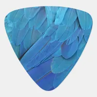 I'm blue - Macaw feathers Guitar Pick