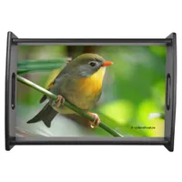 Colorful Leiothrix / Pekin Robin Songbird Serving Tray