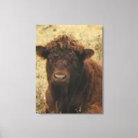 Midwest Brown Cow Farm Photography  Canvas Print