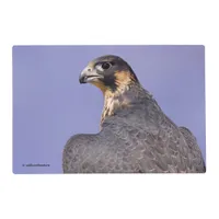 Profile of a Juvenile Peregrine Falcon Placemat