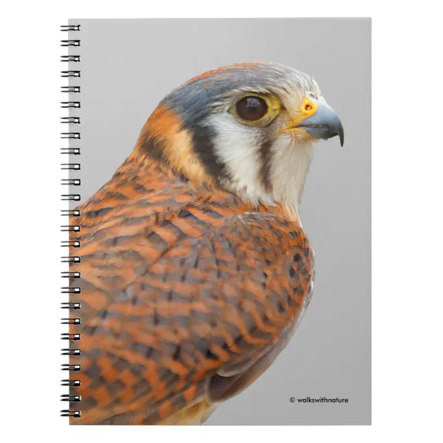 Stunning American Kestrel Sparrowhawk Falcon Notebook