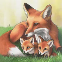 W2A Red Fox Mother and Kits in the Grass