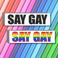 Say Gay Pro-LGBTQ