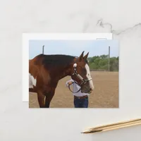 Horse Show Showmanship Bay Paint Postcard