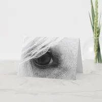 Horse Eye in Black and White Card