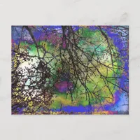 Trees Postcard