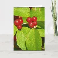 Red Berries Holiday Card