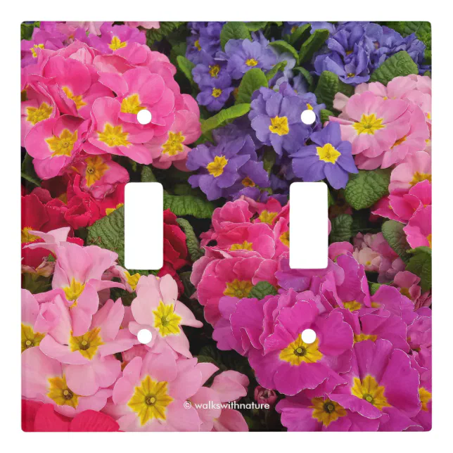 Colorful Floral Pink Blue Purple Primula Flowers Light Switch Cover