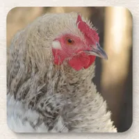 Frizzle Rooster Beverage Coaster