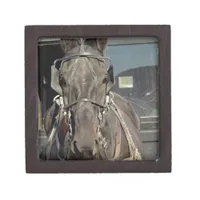 Amish Buggy Horse Gift Box