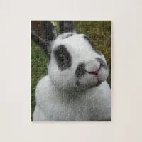 Adorable Rabbit Puzzle