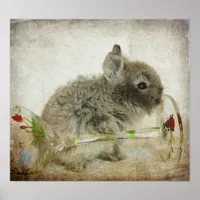 Lionhead Bunny  and Wine Glass Poster