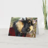 Guinea Pig Christmas Holiday Card