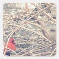 Red in a dreary winter by angelandspot. square sticker