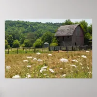 Rustic Barn and Queen Anne's Lace Poster