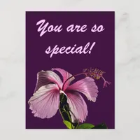 Pink Hibiscus Flower Side View Postcard