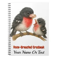 Stunning Rose Breasted Grosbeak Notebook