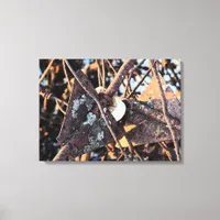 Abandoned Fencing Canvas Print