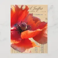 Poppy and Ephemera Digital Art Postcard