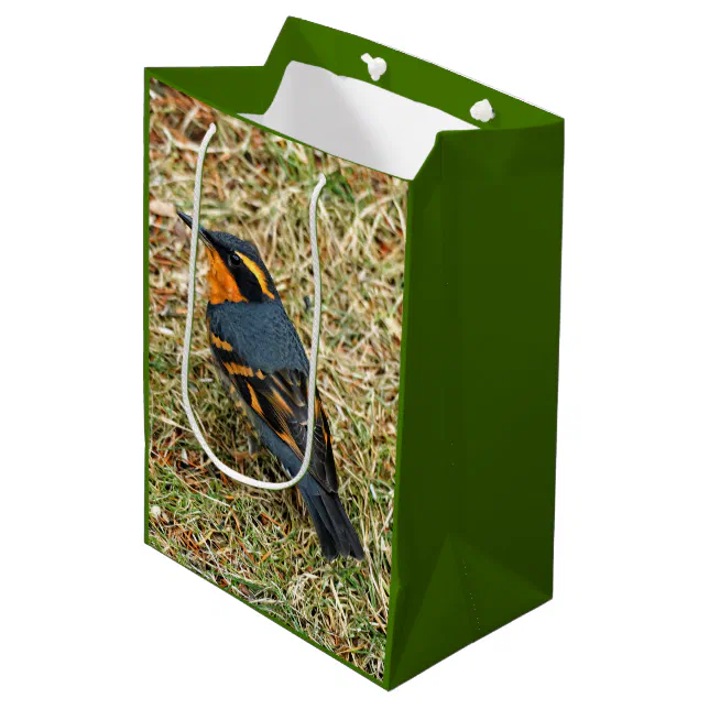 Stunning Varied Thrush on the Lawn Medium Gift Bag