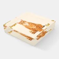 Ginger Orange Tiger Tabby Cat Personalized Paperweight