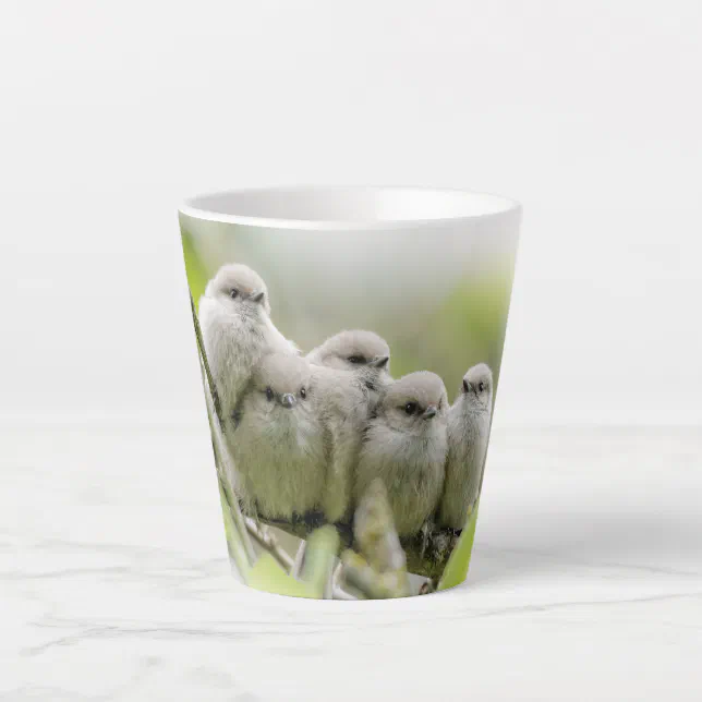 Heartwarming Cute Bushtits Songbirds Family Photo Latte Mug