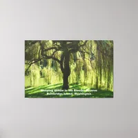 Weeping Willow Bloedel Reserve Bainbridge Island Canvas Print