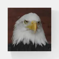 Photograph of an Eagle I Took in Dubuque, Iowa Paperweight