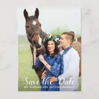 My Humans Are Getting Married Horse Save The Date Announcement Postcard